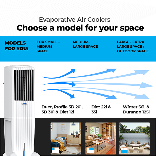 Group_1321317633_e98369dc b579 4831 bad2 b446c71408e9