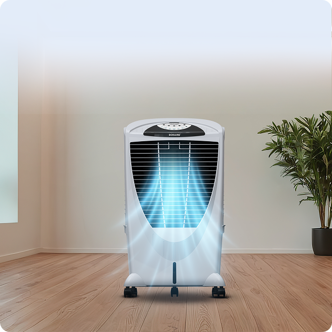 About This Item